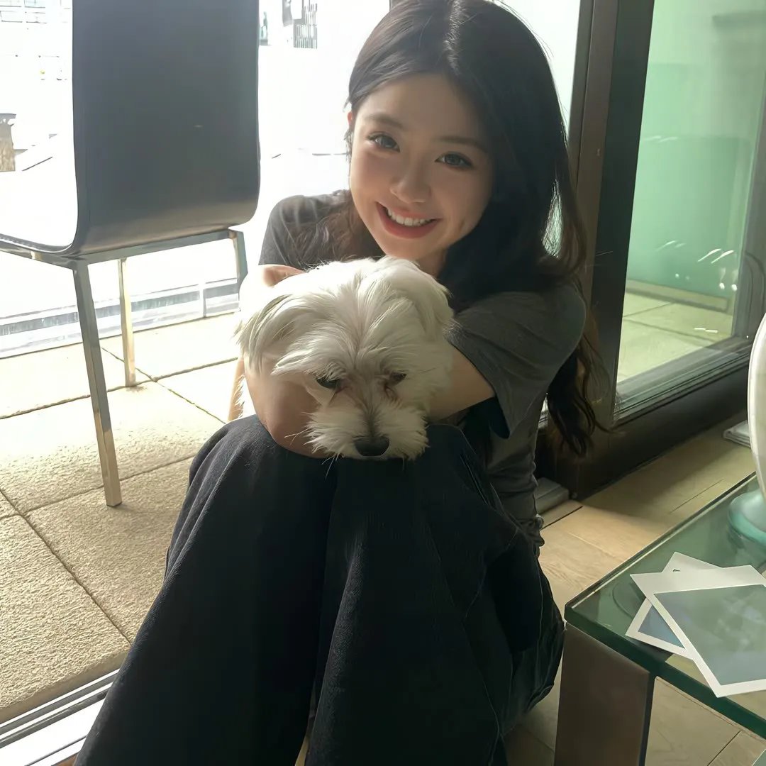 少年泰坦出击第五季