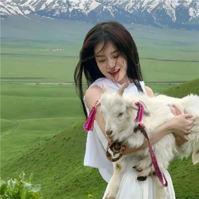 卡片战斗先导者 overDress第四季